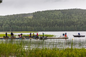 Vertikalgösen2014_005 